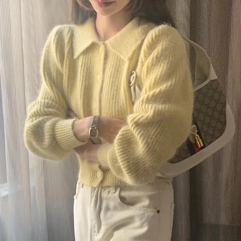 ������ ��Ʈ ī���, �ε巴�� ������ ��Ÿ��, ������ Į��,..